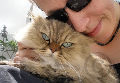 The Photographer with her Cats