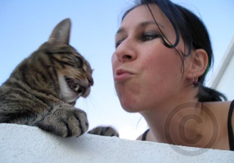 The Photographer with her Cats