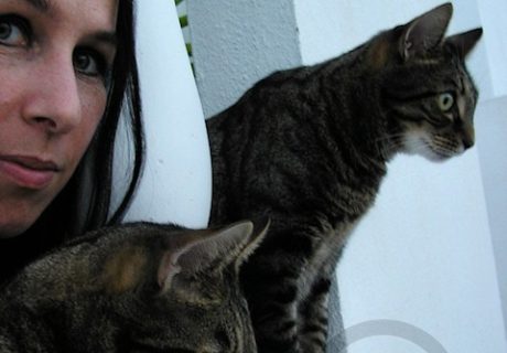 The Photographer with her Cats