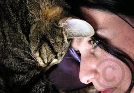 The Photographer with her Cats