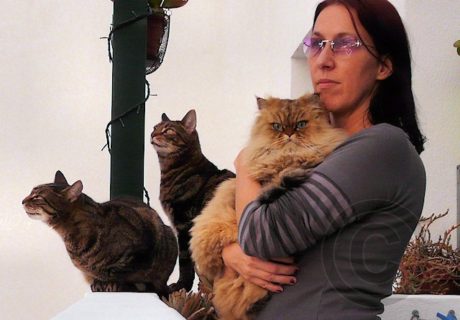 The Photographer with her Cats