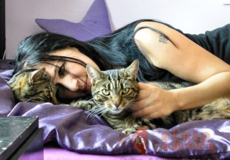 The Photographer with her Cats